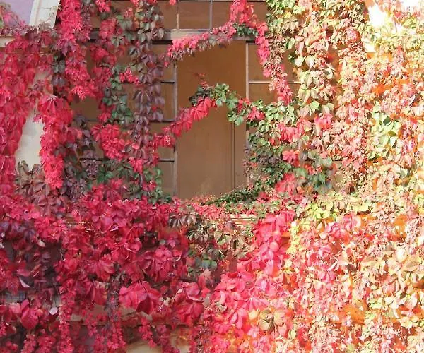 Schloss Frauenthal 公寓 德意志兰茨贝格